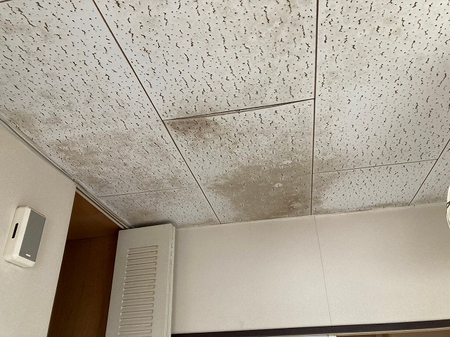 雨漏りで出来た天井の雨染み